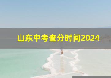 山东中考查分时间2024