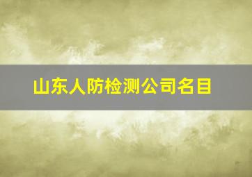 山东人防检测公司名目