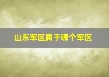 山东军区属于哪个军区