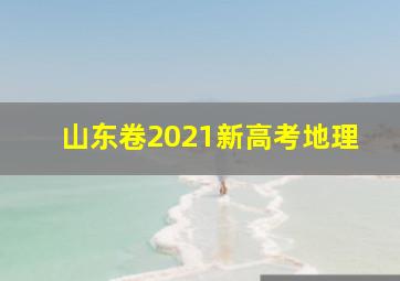 山东卷2021新高考地理