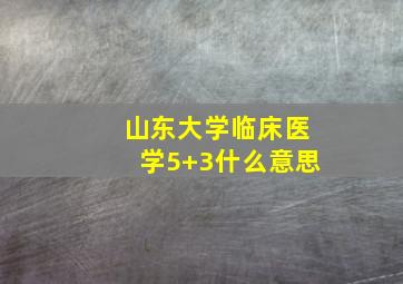 山东大学临床医学5+3什么意思