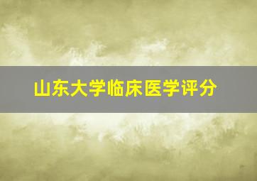 山东大学临床医学评分