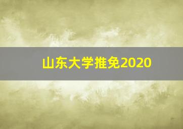 山东大学推免2020