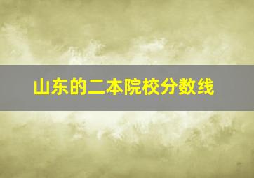 山东的二本院校分数线