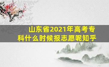 山东省2021年高考专科什么时候报志愿呢知乎