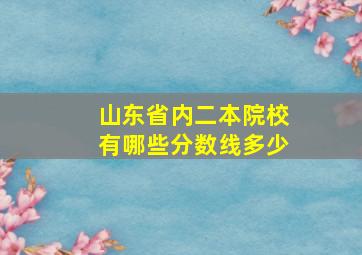 山东省内二本院校有哪些分数线多少