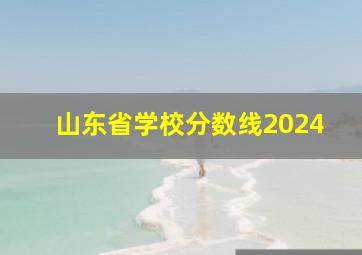 山东省学校分数线2024