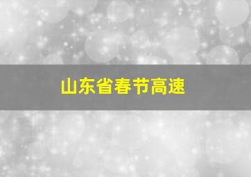 山东省春节高速