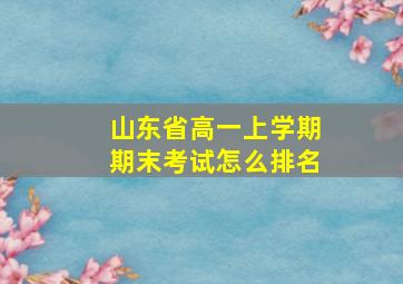 山东省高一上学期期末考试怎么排名