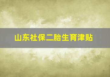 山东社保二胎生育津贴