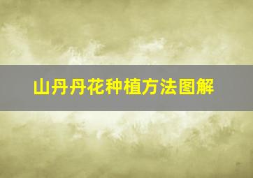 山丹丹花种植方法图解