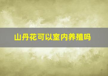 山丹花可以室内养殖吗