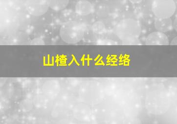 山楂入什么经络