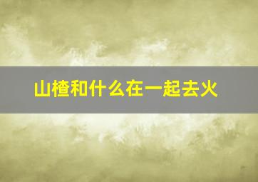 山楂和什么在一起去火