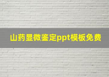 山药显微鉴定ppt模板免费