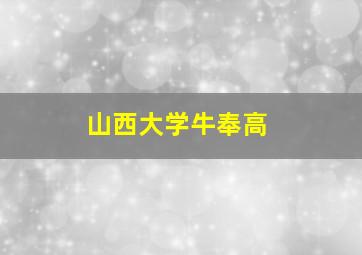 山西大学牛奉高