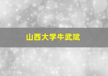 山西大学牛武斌