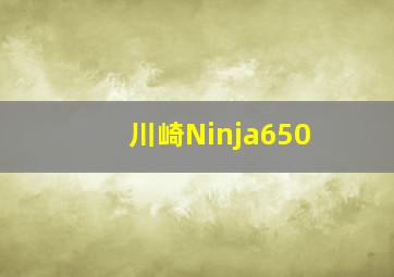 川崎Ninja650