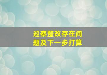 巡察整改存在问题及下一步打算