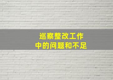 巡察整改工作中的问题和不足