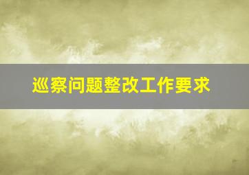 巡察问题整改工作要求