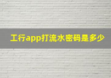 工行app打流水密码是多少