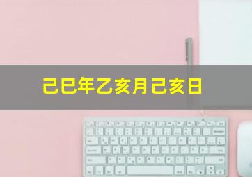 己巳年乙亥月己亥日