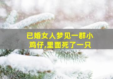 已婚女人梦见一群小鸡仔,里面死了一只