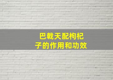 巴戟天配枸杞子的作用和功效