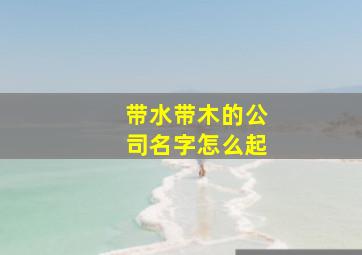 带水带木的公司名字怎么起