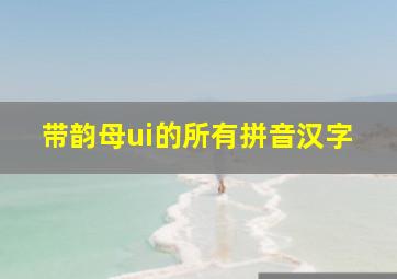 带韵母ui的所有拼音汉字