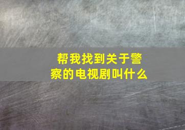 帮我找到关于警察的电视剧叫什么