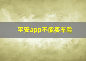 平安app不能买车险