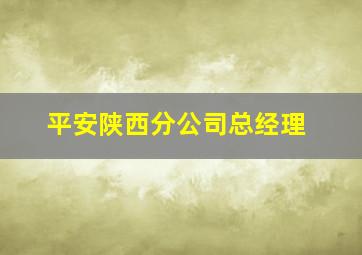 平安陕西分公司总经理