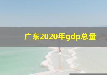 广东2020年gdp总量