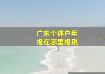 广东个体户年报在哪里报税