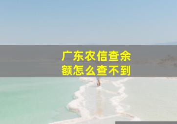 广东农信查余额怎么查不到