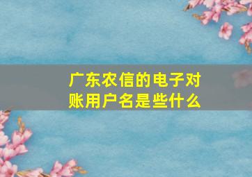 广东农信的电子对账用户名是些什么