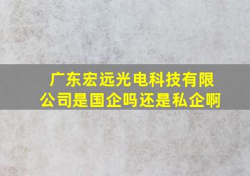 广东宏远光电科技有限公司是国企吗还是私企啊