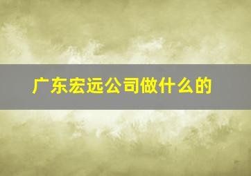 广东宏远公司做什么的