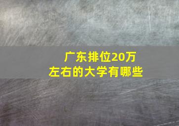 广东排位20万左右的大学有哪些