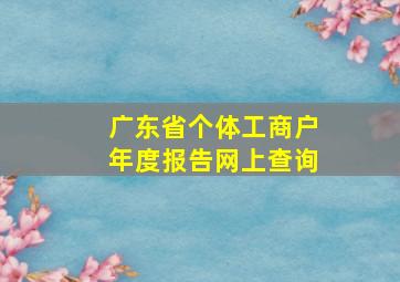 广东省个体工商户年度报告网上查询