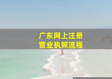 广东网上注册营业执照流程