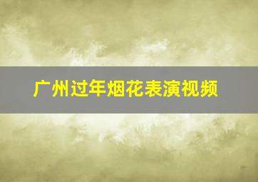 广州过年烟花表演视频