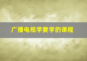 广播电视学要学的课程