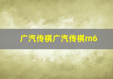 广汽传祺广汽传祺m6