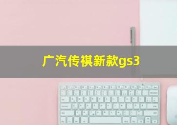 广汽传祺新款gs3