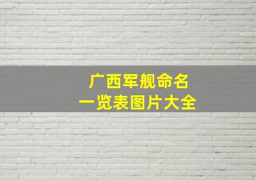 广西军舰命名一览表图片大全