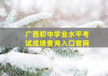 广西初中学业水平考试成绩查询入口官网