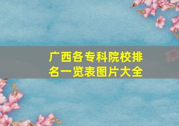 广西各专科院校排名一览表图片大全